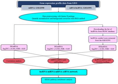 Long Non-Coding RNA- Associated Competing Endogenous RNA Axes in T-Cells in Multiple Sclerosis